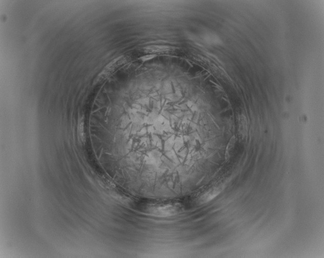 X0000074030267200609111721