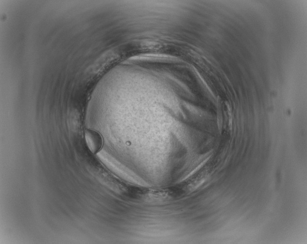 X0000074030270200609111721