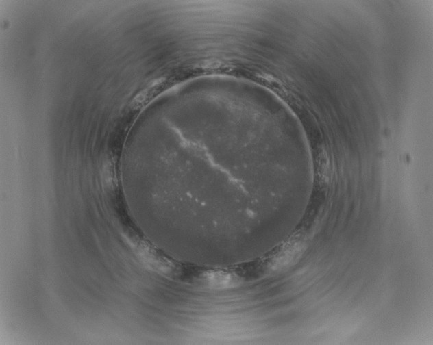 X0000074030272200609111721