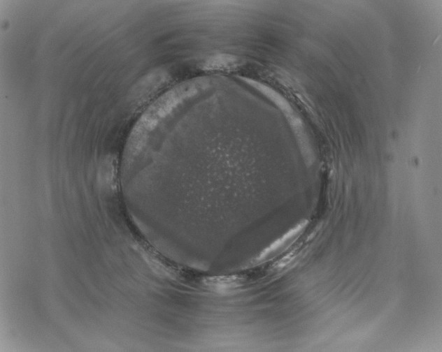 X0000074030273200609111721