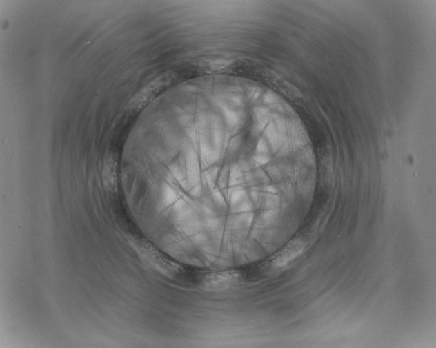 X0000074030274200609111721