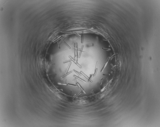 X0000074030276200609111721