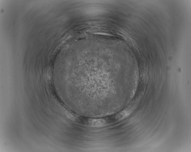 X0000074030277200609111721