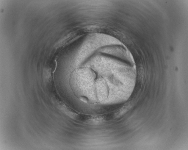 X0000074030278200609111721