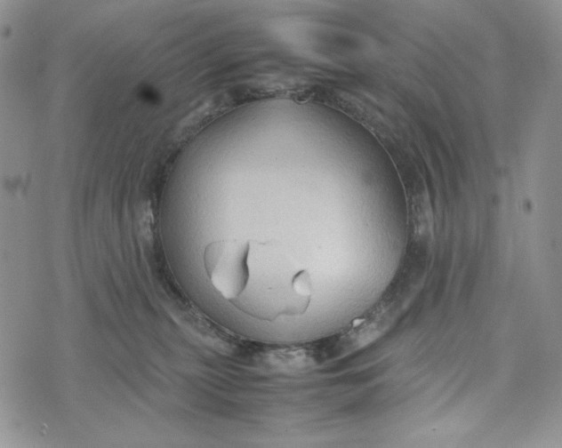 X0000074030279200609111721