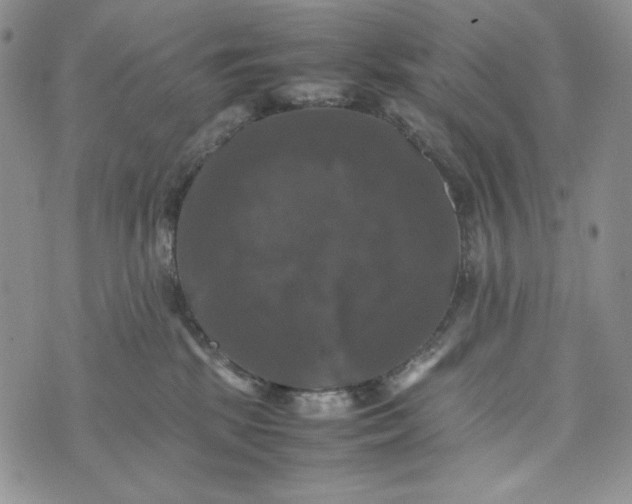 X0000074030281200609111721