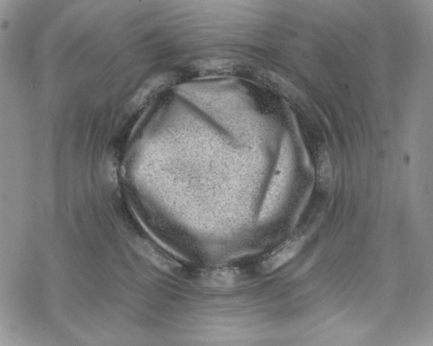 X0000074030282200609111721