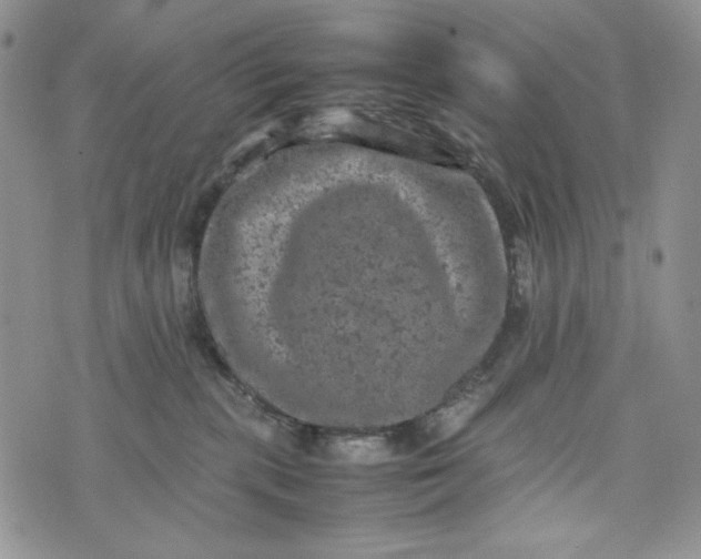 X0000074030283200609111722