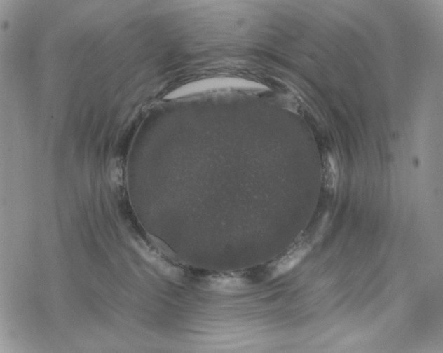 X0000074030284200609111722