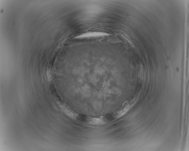 X0000074030285200609111722