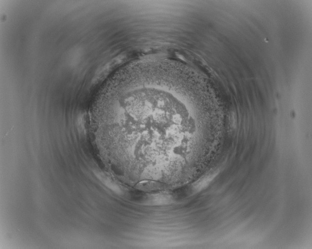 X0000074030286200609111722