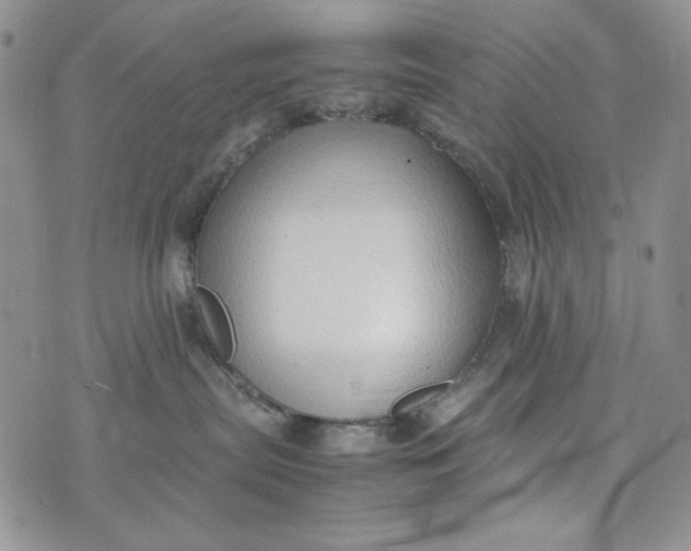 X0000074030287200609111722