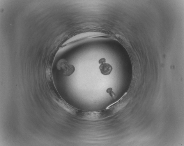 X0000074030288200609111722