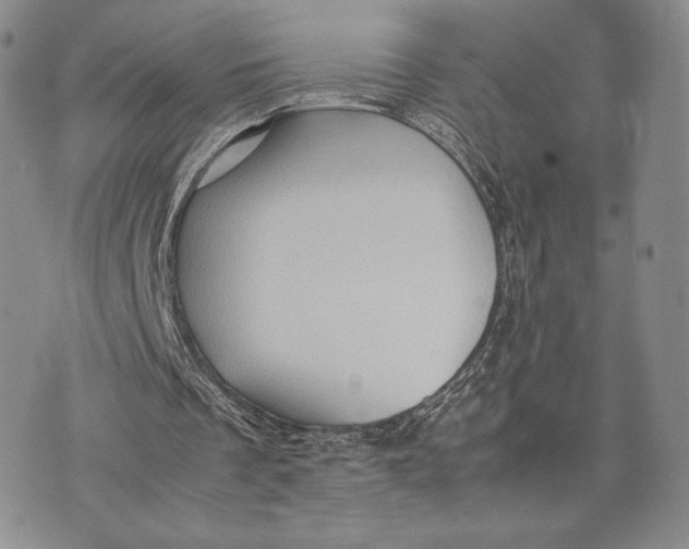 X0000074030289200609111721