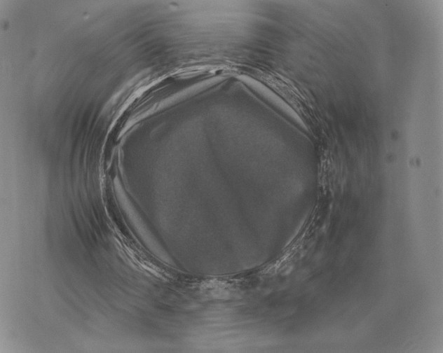 X0000074030290200609111721