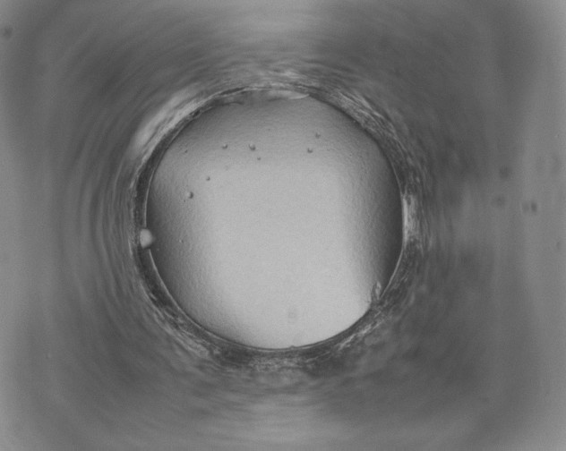 X0000074030291200609111721