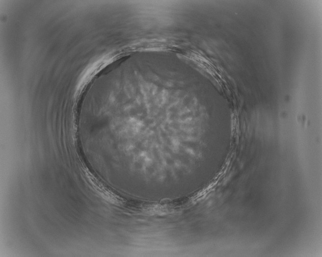 X0000074030293200609111721