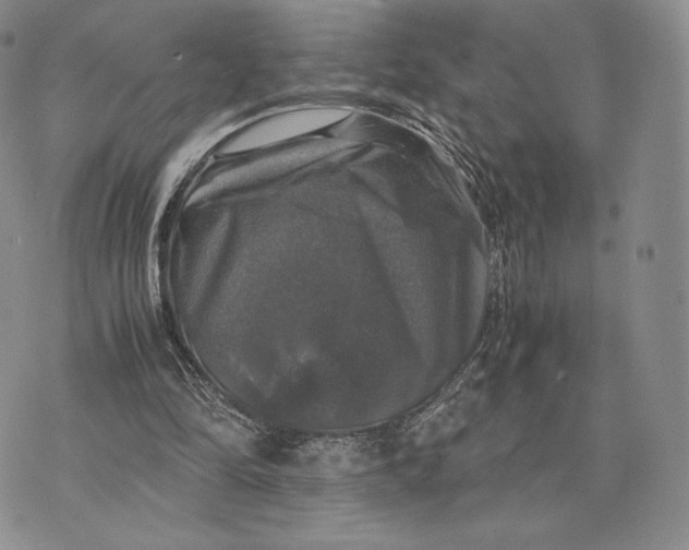 X0000074030294200609111721