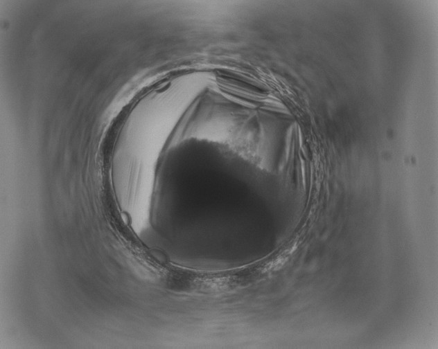 X0000074030295200609111721