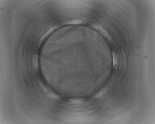 X0000074030300200609111721