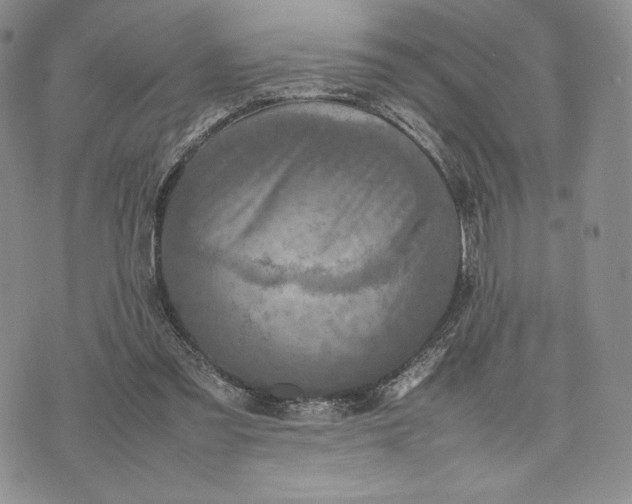 X0000074030301200609111721