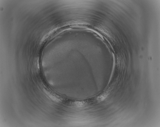 X0000074030302200609111721