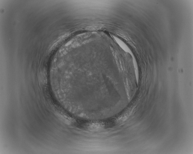 X0000074030303200609111721