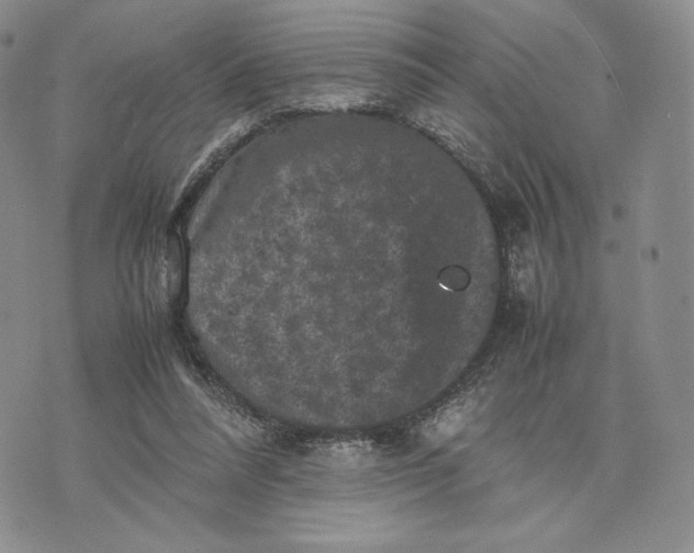 X0000074030304200609111721