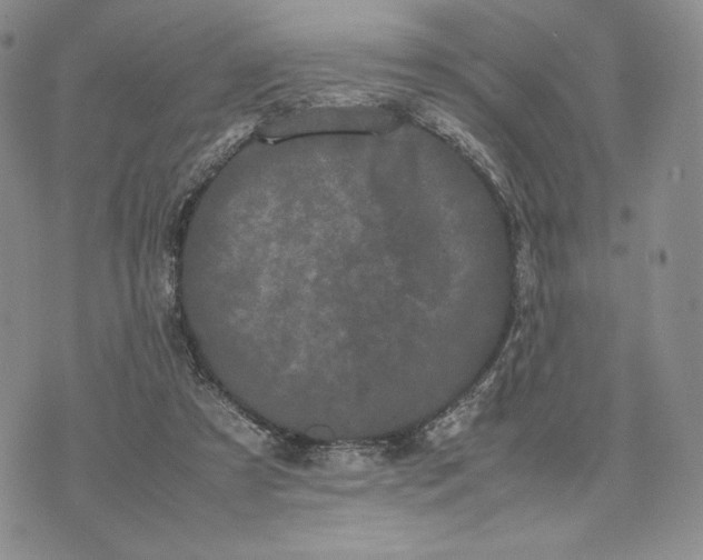 X0000074030305200609111721