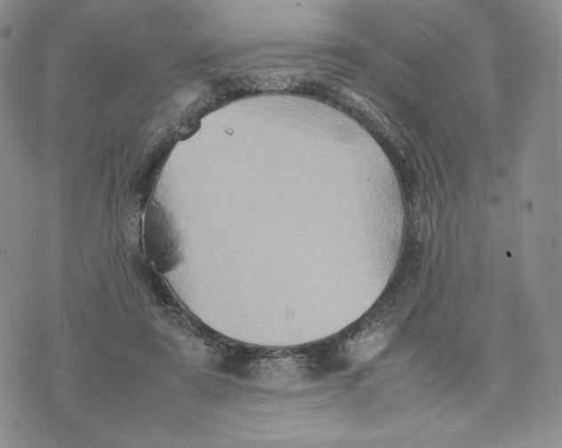 X0000074030307200609111721