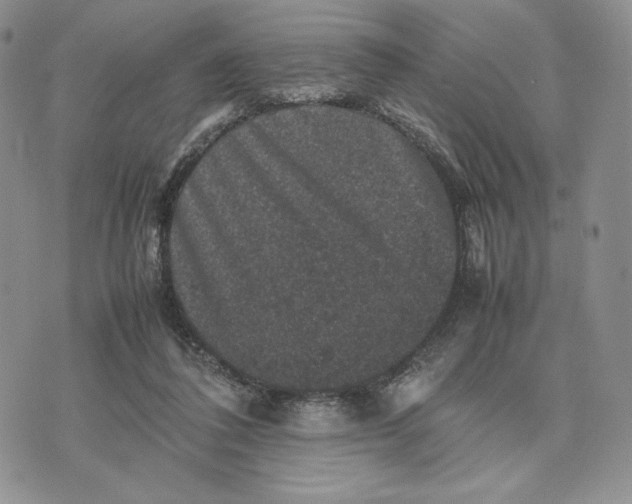 X0000074030308200609111720