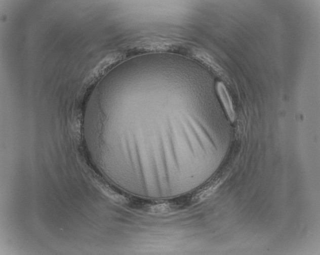 X0000074030309200609111720