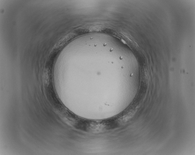 X0000074030311200609111720