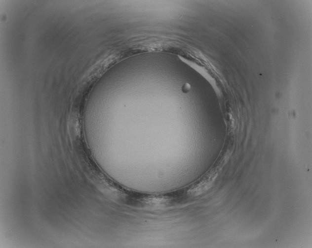 X0000074030313200609111720