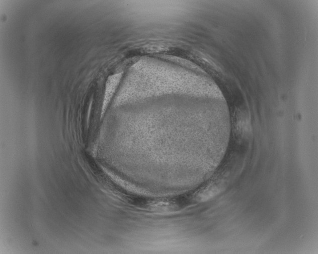 X0000074030315200609111720