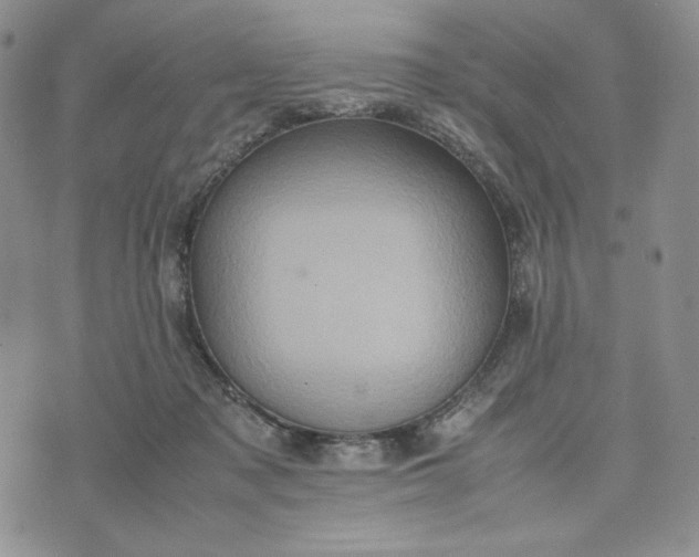 X0000074030317200609111720