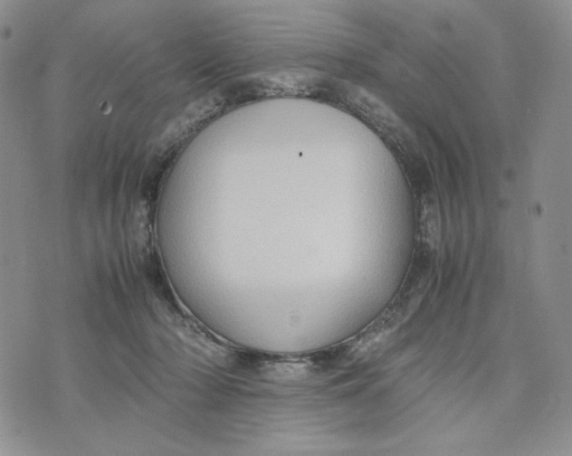 X0000074030318200609111720