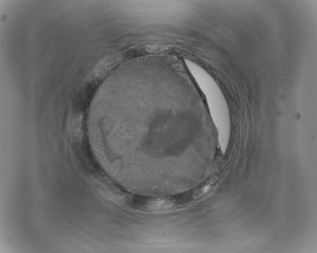 X0000074030319200609111720