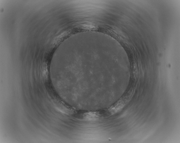 X0000074030320200609111720