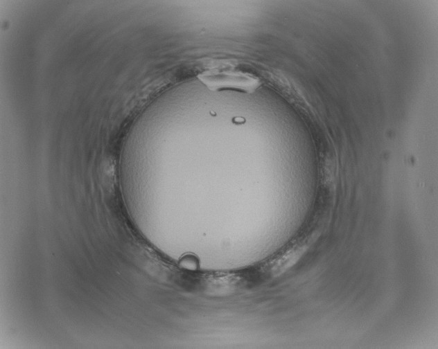 X0000074030321200609111720