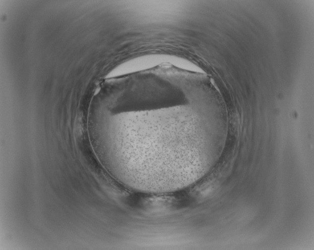 X0000074030323200609111720