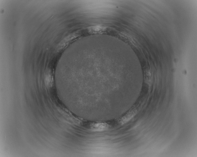 X0000074030324200609111720