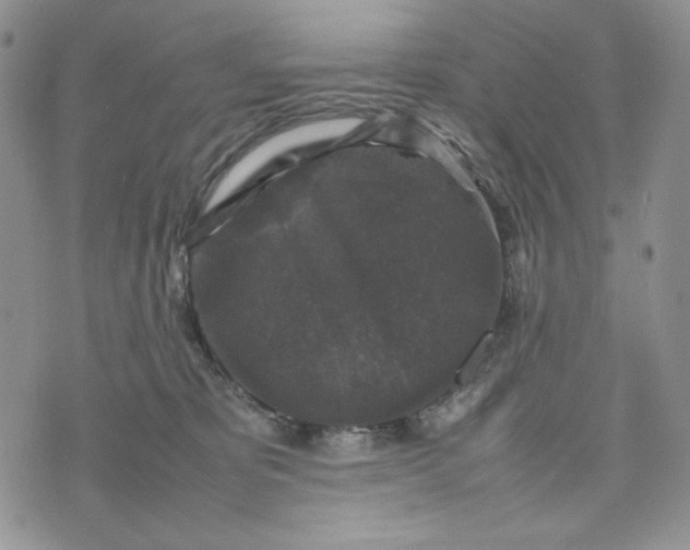 X0000074030325200609111720