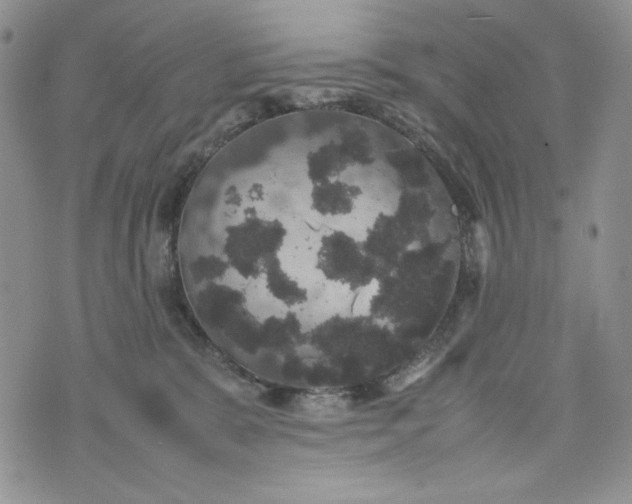 X0000074030327200609111720