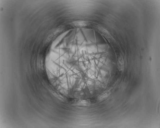 X0000074030330200609111720