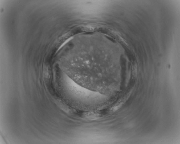 X0000074030331200609111720