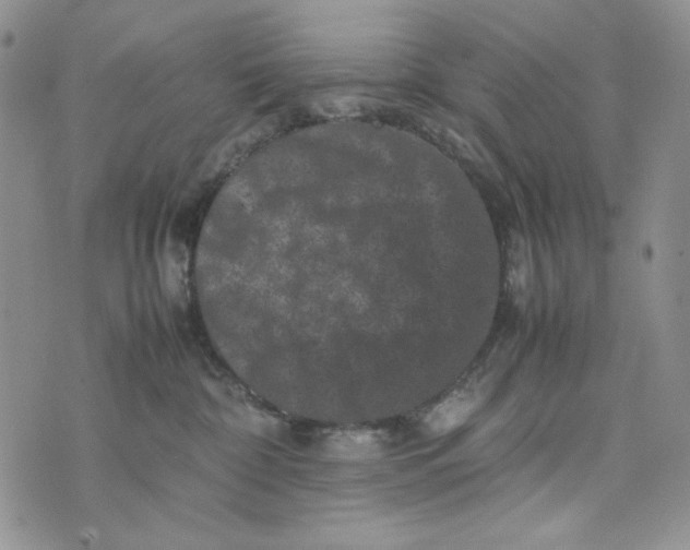 X0000074030332200609111720