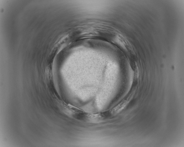 X0000074030333200609111720