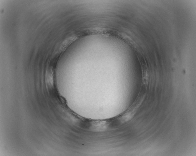 X0000074030334200609111720