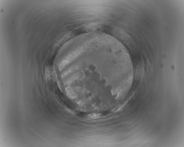 X0000074030335200609111720